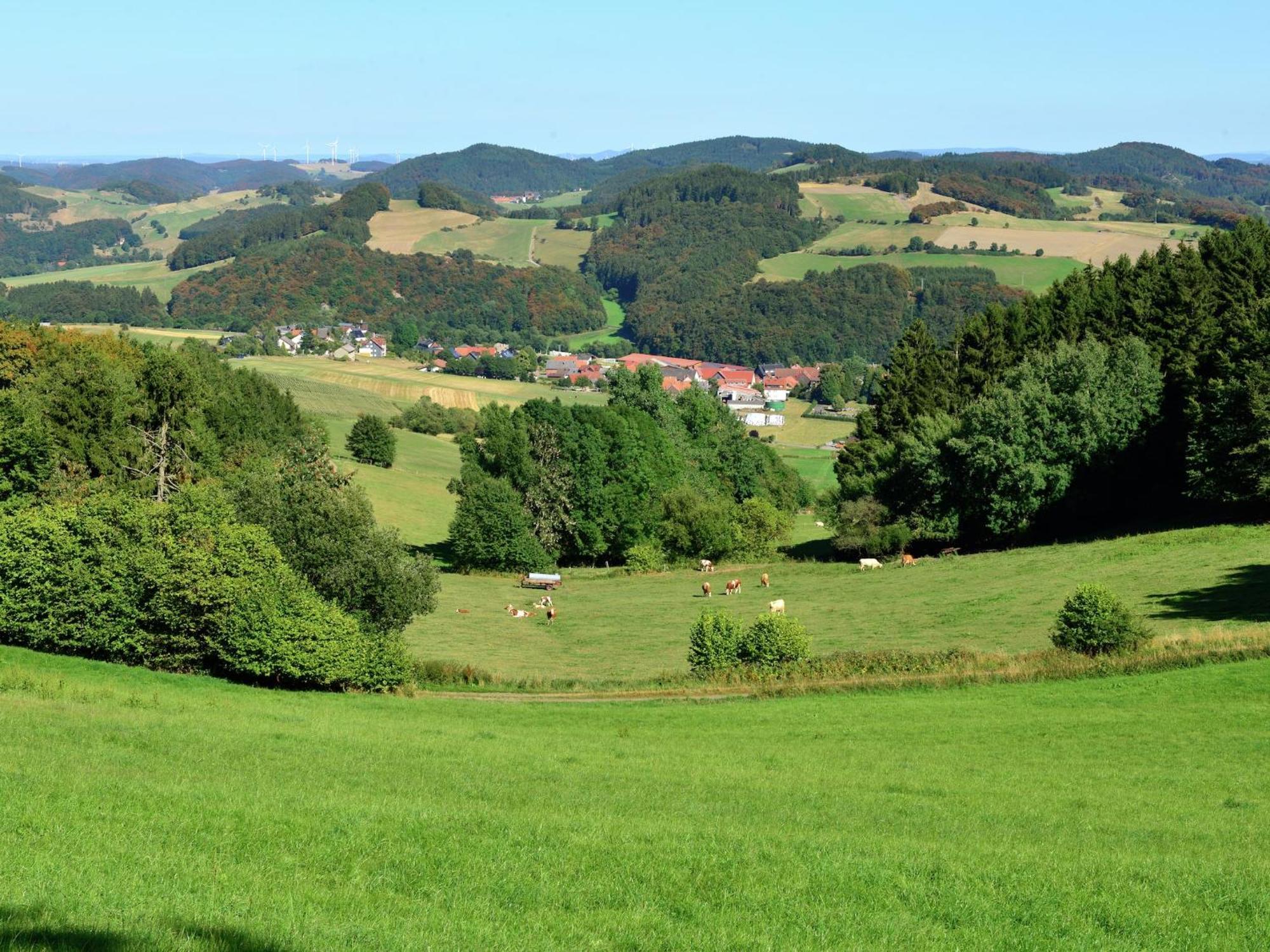 Quaint Apartment In Eimelrod Near Lake And Water Sports Willingen (Upland) Exterior foto